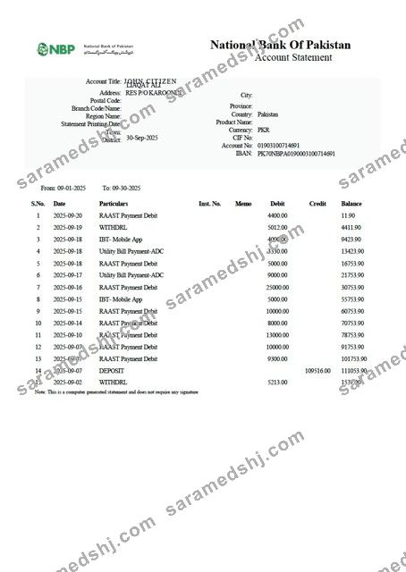 Pakistan National Bank of Pakistan account statement Word and PDF template